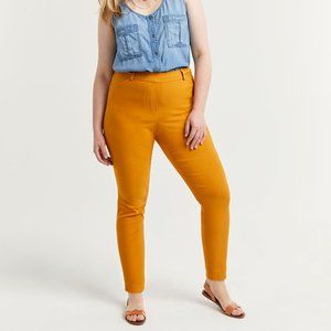 NWOT Ankle Pull On Pants The Iconic